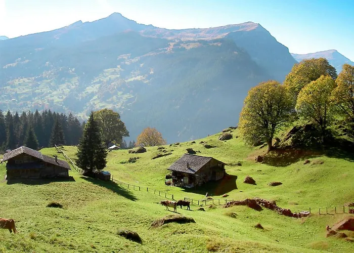 Abendrot Apartments-27 By Interhome Apartamento